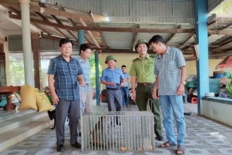 Tiếp nhận Khỉ vàng do UBND xã Quảng Trạch bàn giao để cứu hộ